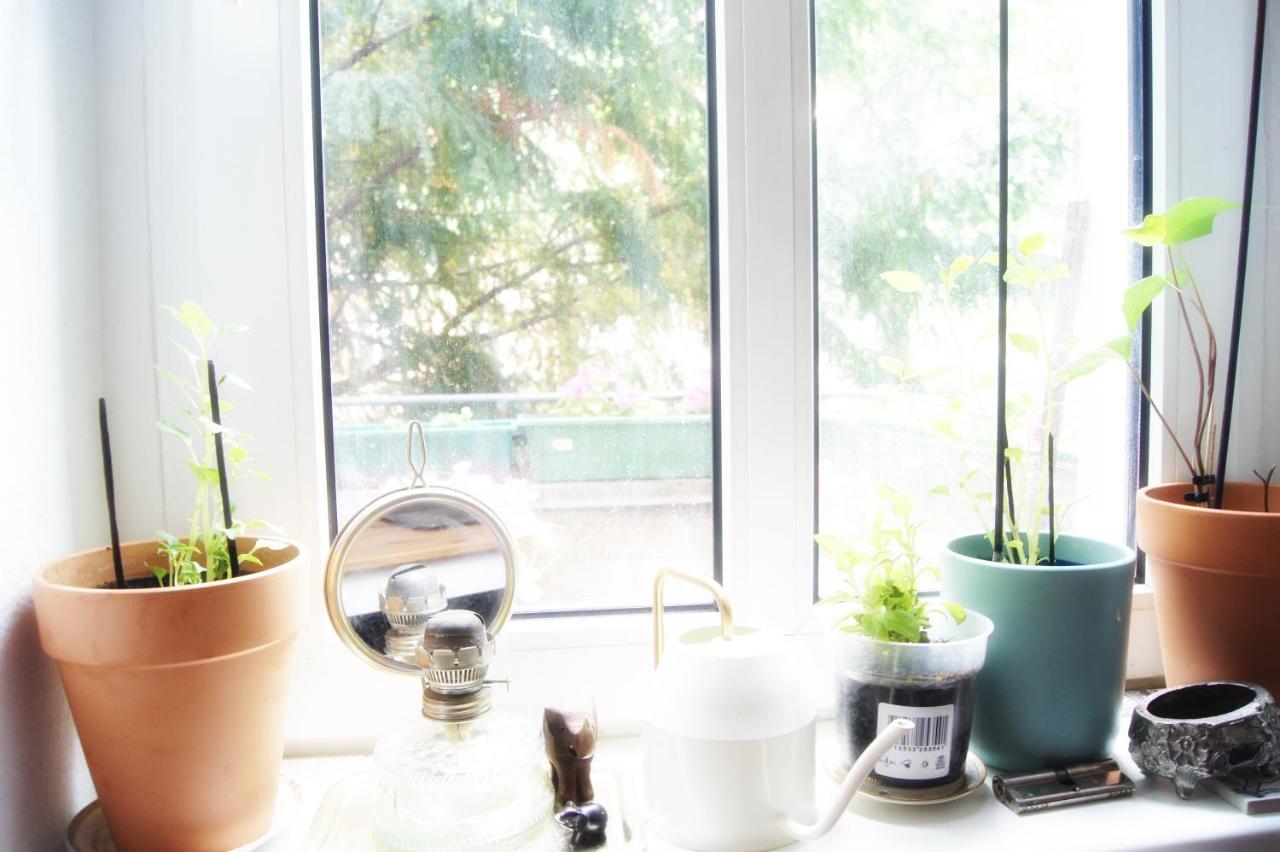 Minimal In A Family Guest house